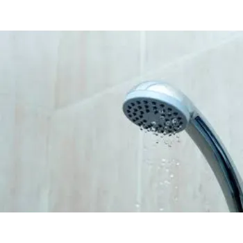 Shower Head